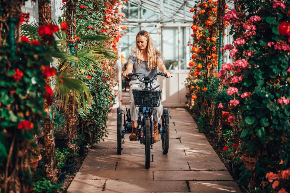 Spring is nearly here! 6 ways to get your tricycle ready for Spring