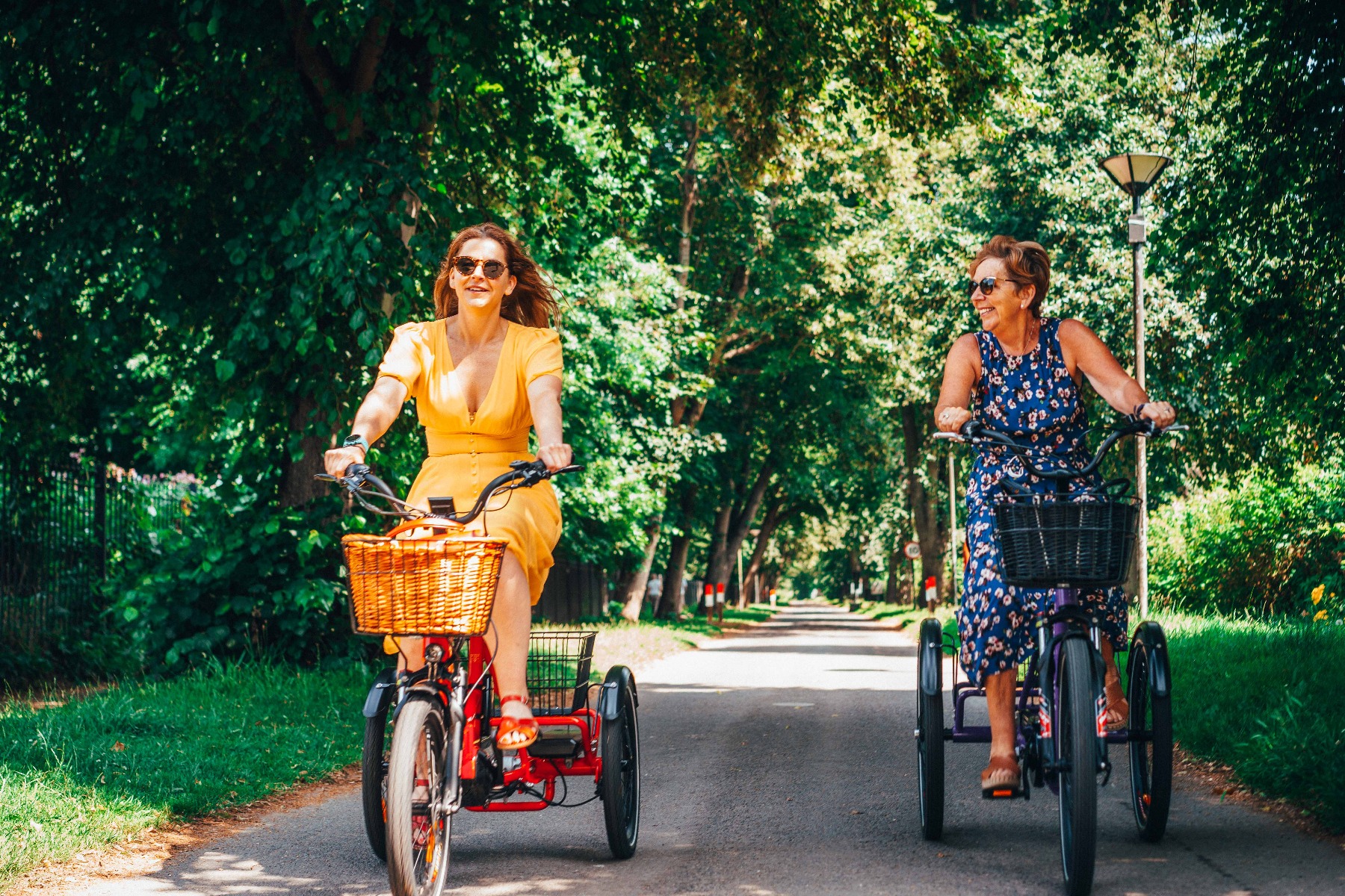 ladies tricycle 