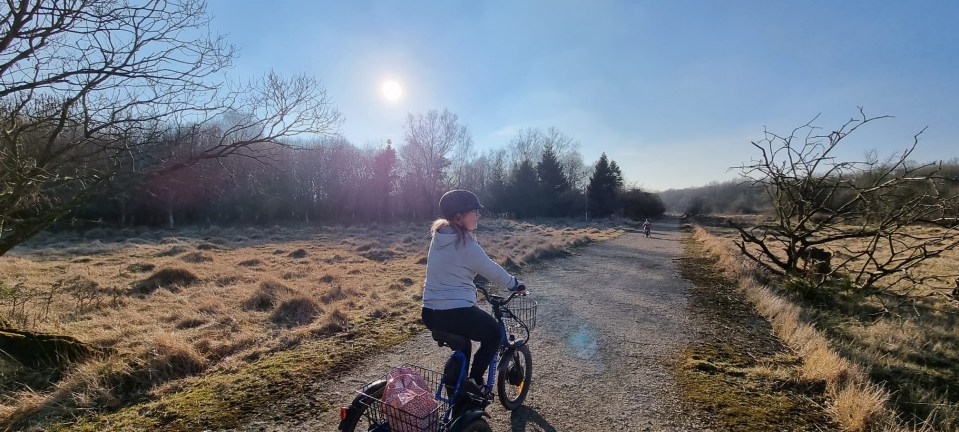 Sarah's Story